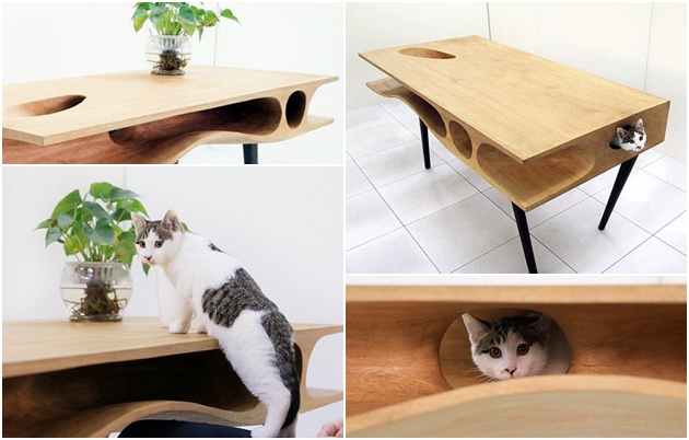 mesa para gatos