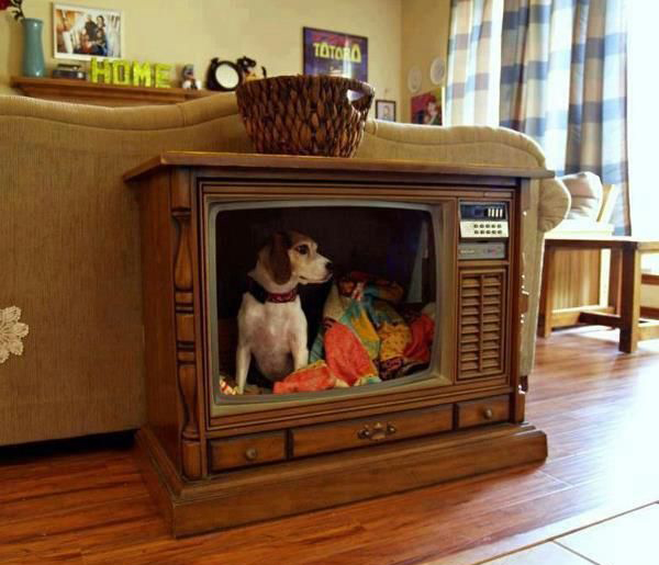 cool-indoor-dog-house-tv-set